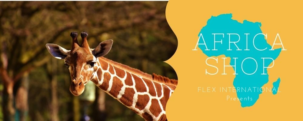 AFRICA SHOP-フレックスインターナショナル‐